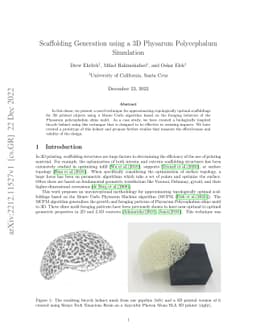 Scaffolding Generation using a 3D Physarum Polycephalum Simulation