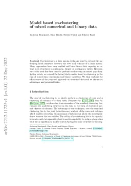 Model Based Co-clustering of Mixed Numerical and Binary Data