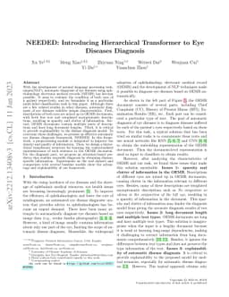 NEEDED: Introducing Hierarchical Transformer to Eye Diseases Diagnosis