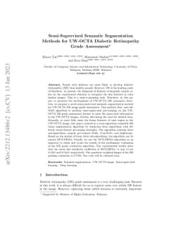 Semi-Supervised Semantic Segmentation Methods for UW-OCTA Diabetic
  Retinopathy Grade Assessment