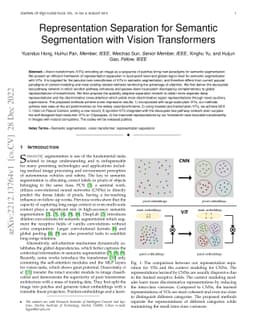 Representation Separation for Semantic Segmentation with Vision
  Transformers