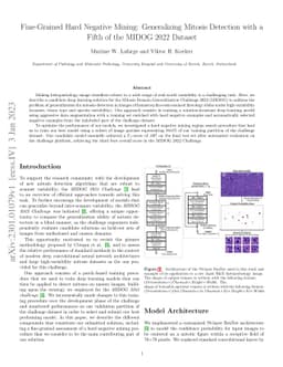 Fine-Grained Hard Negative Mining: Generalizing Mitosis Detection with a
  Fifth of the MIDOG 2022 Dataset