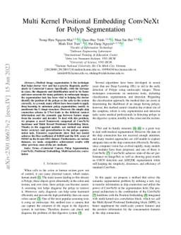 Multi Kernel Positional Embedding ConvNeXt for Polyp Segmentation