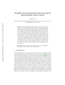 DeepFEL: Deep Fastfood Ensemble Learning for Histopathology Image
  Analysis