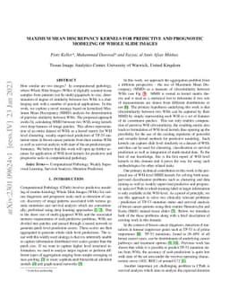 Maximum Mean Discrepancy Kernels for Predictive and Prognostic Modeling
  of Whole Slide Images