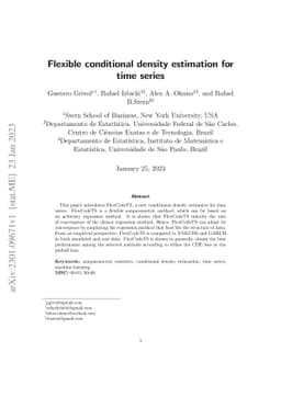 Flexible conditional density estimation for time series