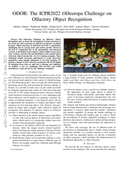 ODOR: The ICPR2022 ODeuropa Challenge on Olfactory Object Recognition
