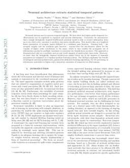 Neuronal architecture extracts statistical temporal patterns