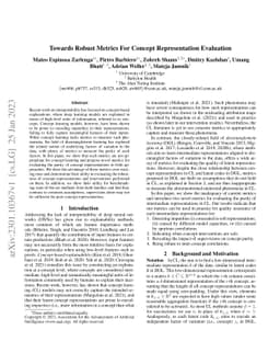 Towards Robust Metrics for Concept Representation Evaluation