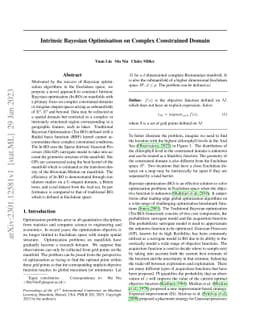 Intrinsic Bayesian Optimisation on Complex Constrained Domain