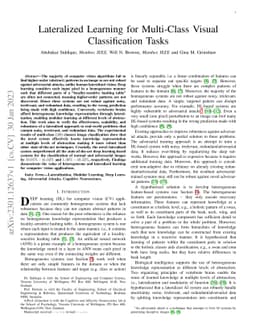 Lateralized Learning for Multi-Class Visual Classification Tasks