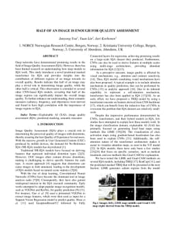 Half of an image is enough for quality assessment