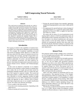 Self-Compressing Neural Networks