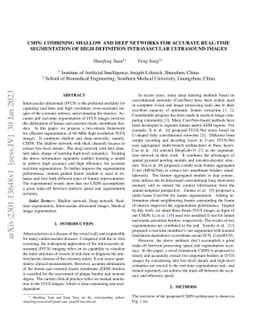 CSDN: Combing Shallow and Deep Networks for Accurate Real-time
  Segmentation of High-definition Intravascular Ultrasound Images