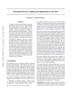 Personalized Privacy Auditing and Optimization at Test Time