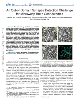 An Out-of-Domain Synapse Detection Challenge for Microwasp Brain
  Connectomes