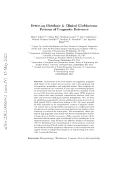 Detecting Histologic & Clinical Glioblastoma Patterns of Prognostic
  Relevance