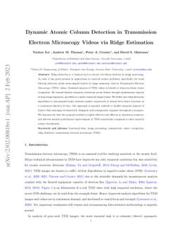 Dynamic Atomic Column Detection in Transmission Electron Microscopy
  Videos via Ridge Estimation