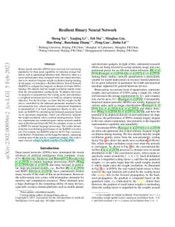 Resilient Binary Neural Network