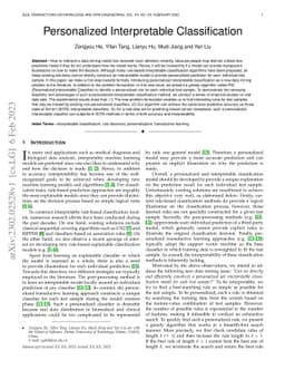 Personalized Interpretable Classification