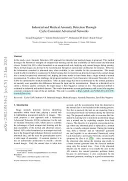 Industrial and Medical Anomaly Detection Through Cycle-Consistent
  Adversarial Networks
