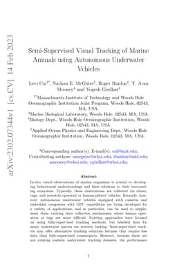 Semi-Supervised Visual Tracking of Marine Animals using Autonomous
  Underwater Vehicles