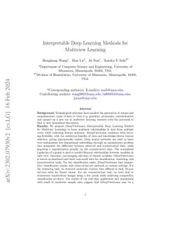Interpretable Deep Learning Methods for Multiview Learning
