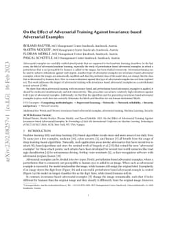 On the Effect of Adversarial Training Against Invariance-based
  Adversarial Examples