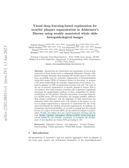 Visual deep learning-based explanation for neuritic plaques segmentation
  in Alzheimer's Disease using weakly annotated whole slide histopathological
  images