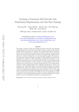Learning a Consensus Sub-Network with Polarization Regularization and One Pass Training