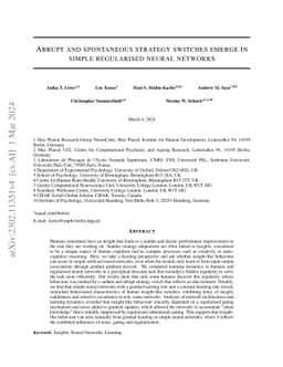 Abrupt and spontaneous strategy switches emerge in simple regularised
  neural networks
