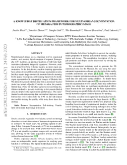 A Knowledge Distillation framework for Multi-Organ Segmentation of
  Medaka Fish in Tomographic Image