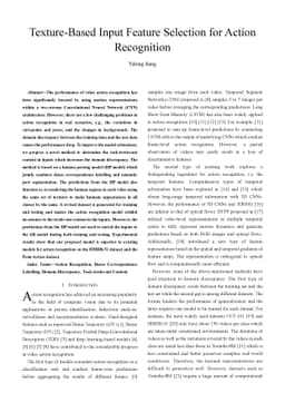 Texture-Based Input Feature Selection for Action Recognition