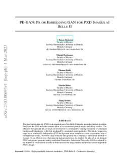 PE-GAN: Prior Embedding GAN for PXD images at Belle II