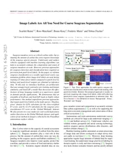 Image Labels Are All You Need for Coarse Seagrass Segmentation