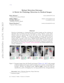 Robust Detection Outcome: A Metric for Pathology Detection in Medical
  Images