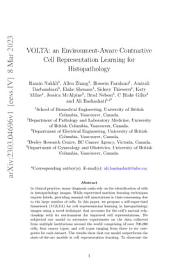 VOLTA: an Environment-Aware Contrastive Cell Representation Learning for
  Histopathology