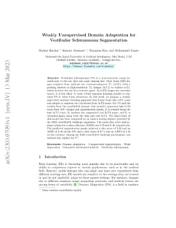 Weakly Unsupervised Domain Adaptation for Vestibular Schwannoma
  Segmentation