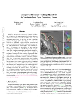 Unsupervised Contour Tracking of Live Cells by Mechanical and Cycle
  Consistency Losses