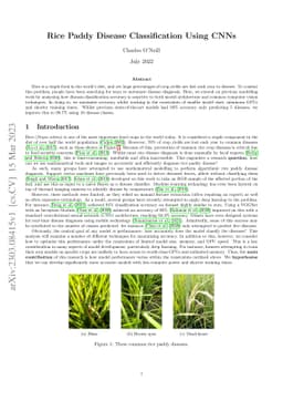 Rice paddy disease classifications using CNNs