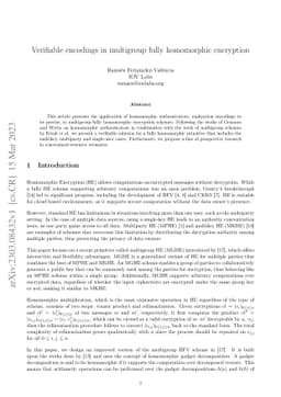 Verifiable encodings in multigroup fully homomorphic encryption