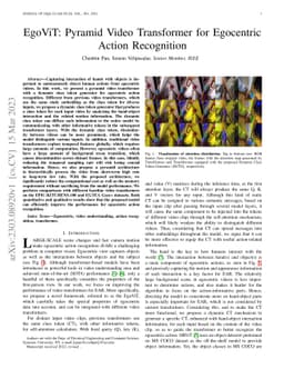 EgoViT: Pyramid Video Transformer for Egocentric Action Recognition