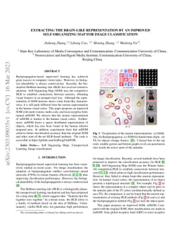 Extracting the Brain-like Representation by an Improved Self-Organizing
  Map for Image Classification