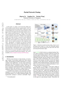 Partial Network Cloning