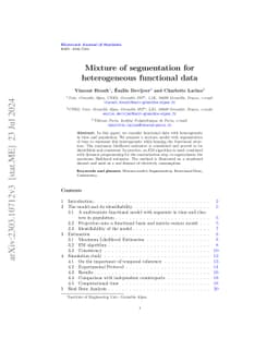 Mixture of segmentation for heterogeneous functional data
