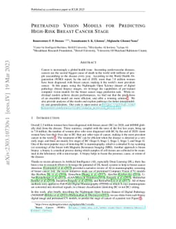 Pretrained Vision Models for Predicting High-Risk Breast Cancer Stage