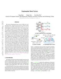Equiangular Basis Vectors