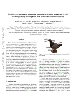 3D-POP -- An automated annotation approach to facilitate markerless
  2D-3D tracking of freely moving birds with marker-based motion capture