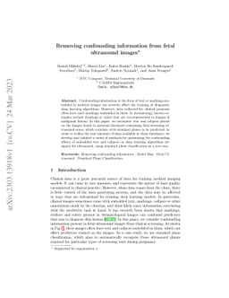 Removing confounding information from fetal ultrasound images