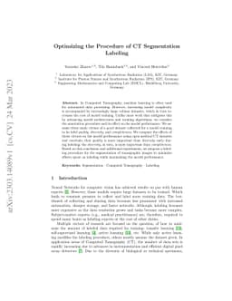 Optimizing the Procedure of CT Segmentation Labeling